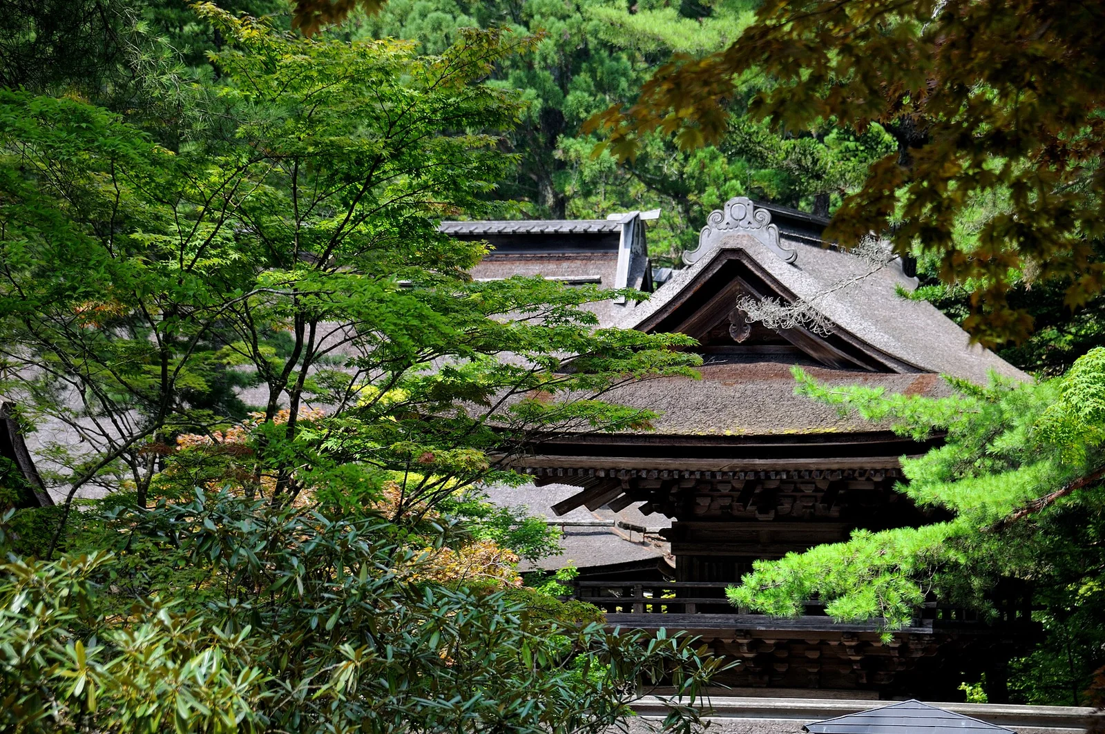 Koyasan Japan temple