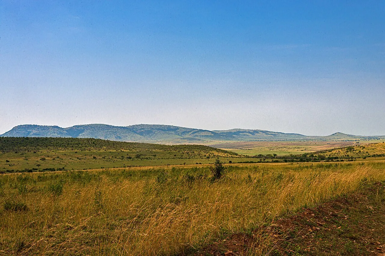 Maasai Mara
