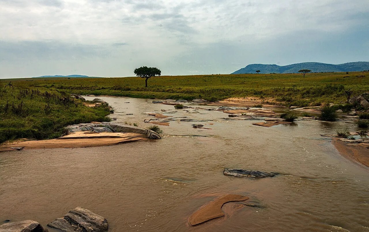 Maasai Mara