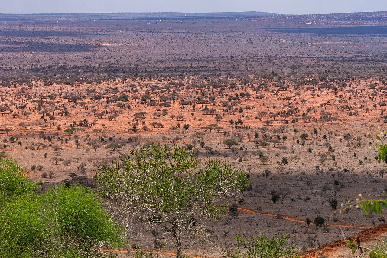 Tsavo