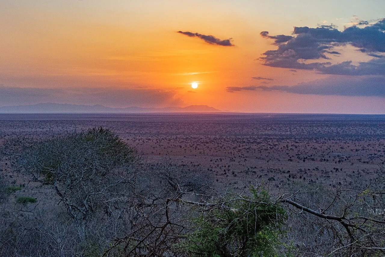 Tsavo