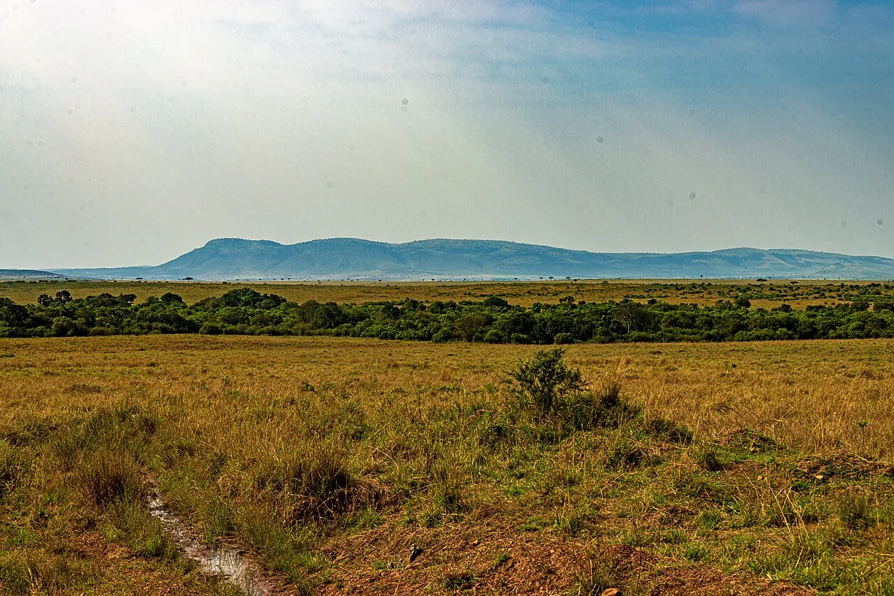 Maasai Mara