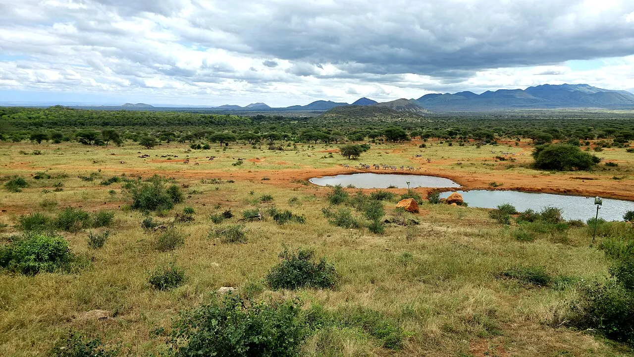 Tsavo