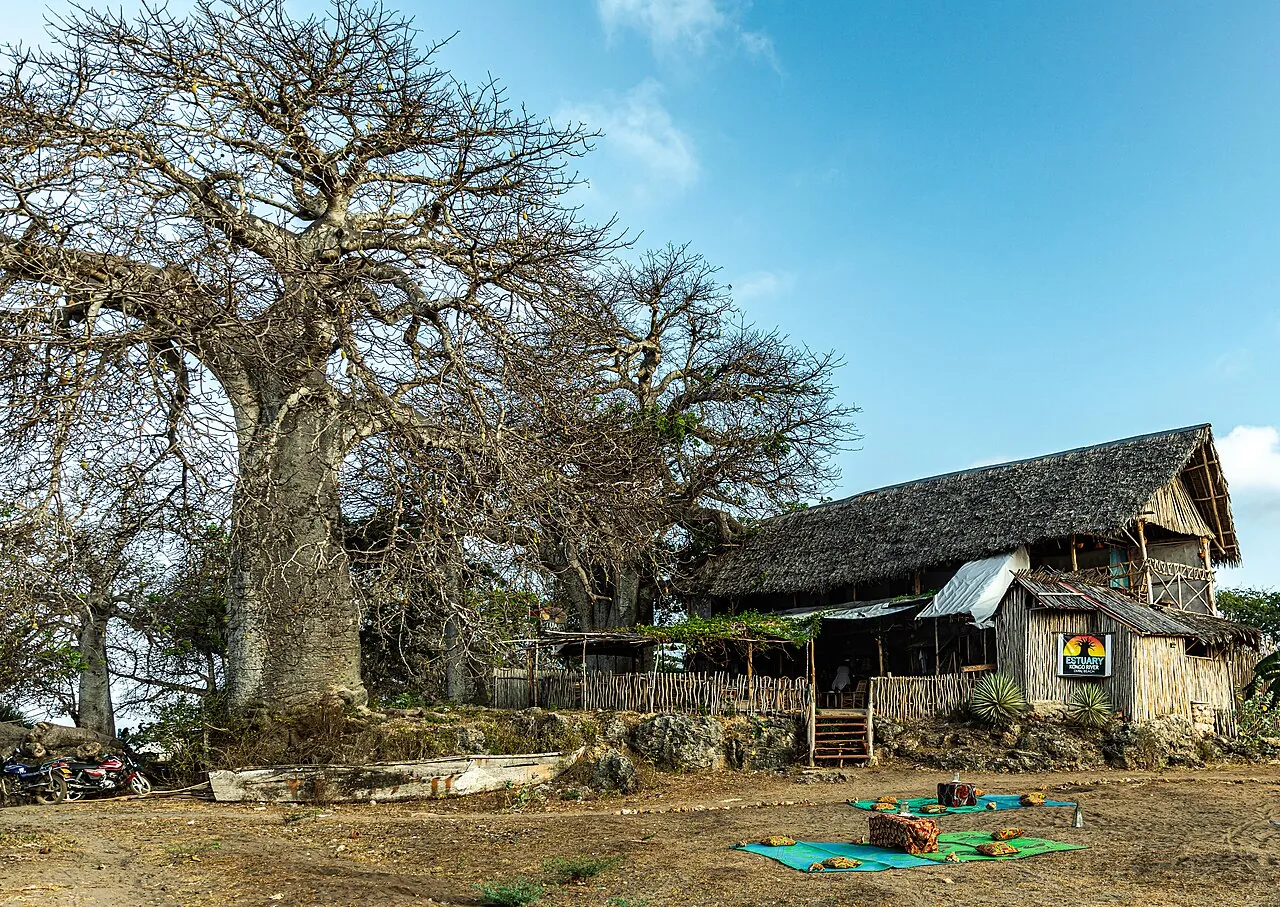 Diani Beach