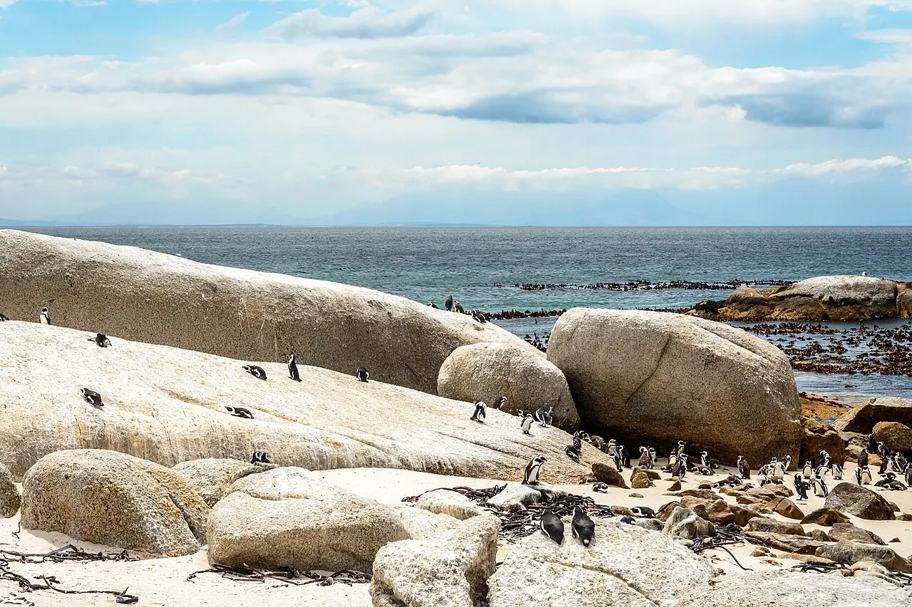Boulders Beach